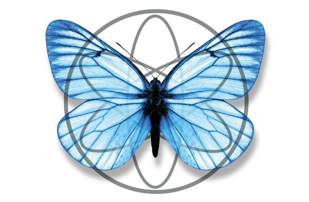 web Signet